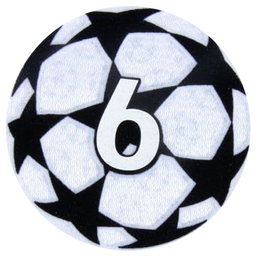 UEFA Badge of Honour 6